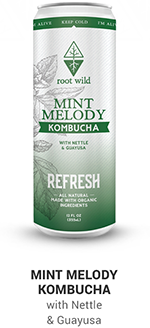 Root Wild Mint Refresh Kombucha